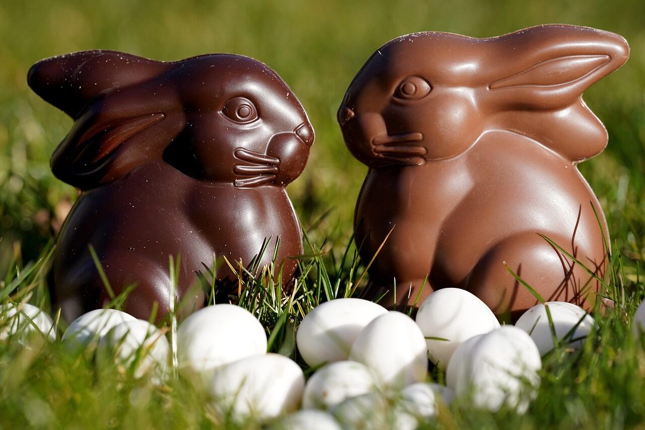 easter bunny, chocolate, holiday, easter, tradition, season, rabbit, meadow, sweet, easter bunny, easter bunny, easter bunny, easter bunny, easter bunny, chocolate, easter, rabbit