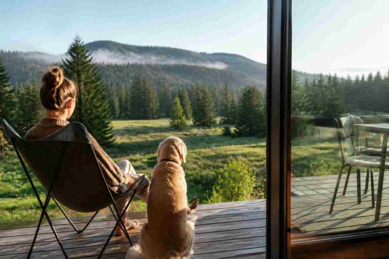 Urlaub mit Vierbeiner im Schwarzwald: Ferienwohnungen zwischen Wald, Wiesen und Mooren
